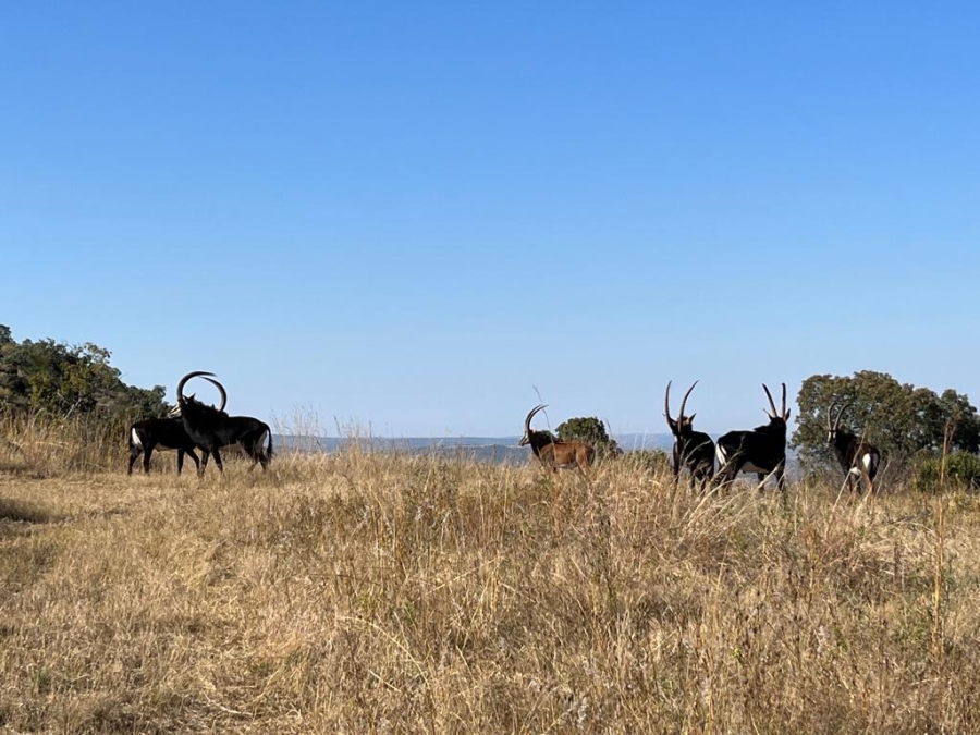 Commercial Property for Sale in Swartruggens North West